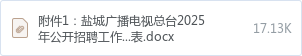 附件1:盐城广播电视总台2025年公开招聘工作人员岗位表.docx